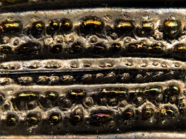 






  
    
  
  
    
  
  


Polycesta elata
<br>
<br>


  2023-05-25
  <br>



  <a href="
  https://www.inaturalist.org/observations/163616975
  " style="color: #0087ff; text-decoration: underline;">iNaturalist observation</a>
  <br>



  ©️2023 Ben Gruver

<br>
License: <a href="https://creativecommons.org/licenses/by-nc/4.0/" style="text-decoration: underline;">CC BY-NC 4.0</a> 






